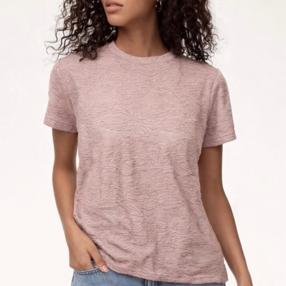 ARITZIA Wilfred flora lace semi-sheer Tarascon crewneck top blouse dust pink XXS